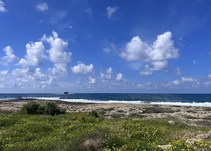 Sunset Deluxe And Daire *